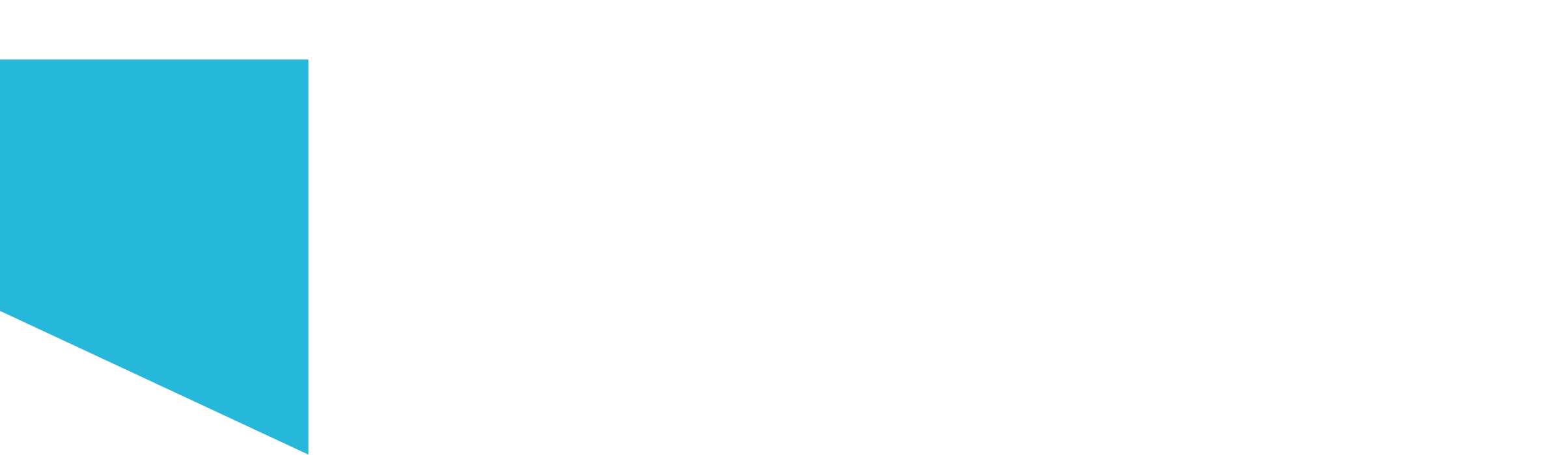 Nedic Logo